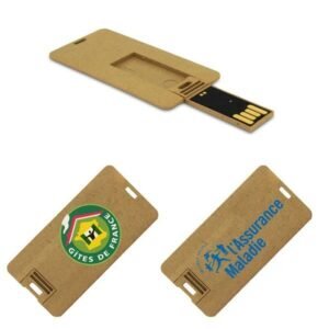 Eco-Friendly Card USB Stick with Logo
