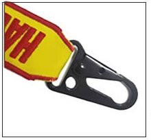 Bocallave pico de águila