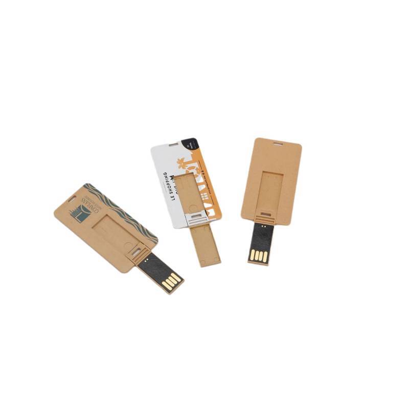 Biodegradable Paper Card USB Drive from Factory