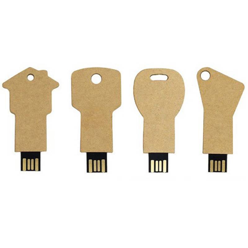 Biodegradable Key-Shaped USB Flash Drive