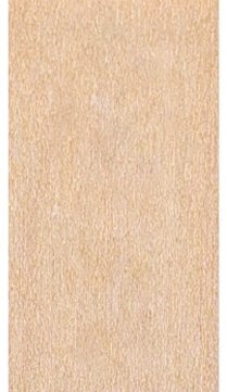 Maple Wood